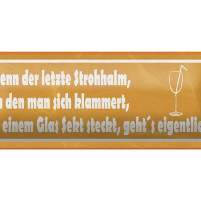 Blechschild Spruch 27x10cm wenn der letzte Strohhalm Sekt Dekoration