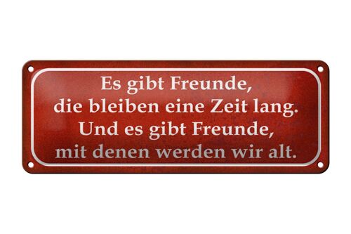 Blechschild Spruch 27x10cm es gibt Freunde mit denen alt Dekoration