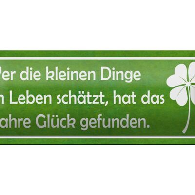 Blechschild Spruch 27x10cm wer kleine Dinge schätzt Glück Dekoration