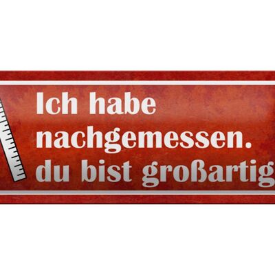 Blechschild Spruch 27x10cm nachgemessen du bist großartig Dekoration