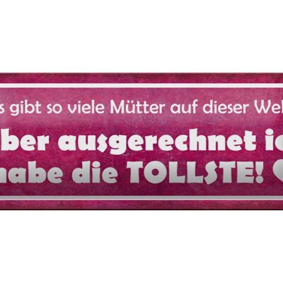 Blechschild Spruch 27x10cm ich habe die tollste Mutter Herz Dekoration