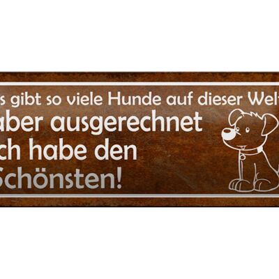 Blechschild Spruch 27x10cm es gibt so viele Hunde auf Welt Dekoration