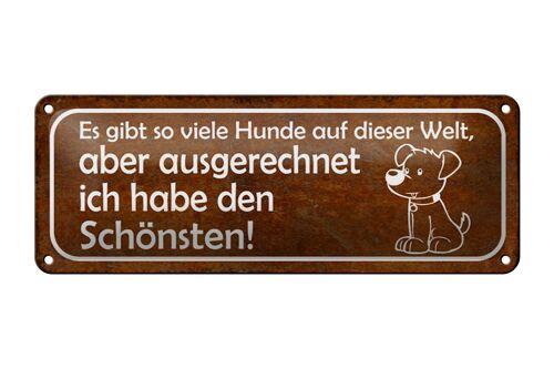 Blechschild Spruch 27x10cm es gibt so viele Hunde auf Welt Dekoration