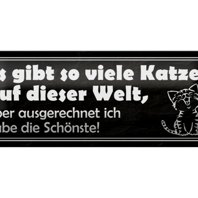 Blechschild Spruch 27x10cm es gibt so viele Katzen auf Welt Dekoration