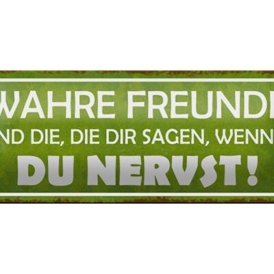 Blechschild Spruch 27x10cm wahre Freunde sagen du nervst Dekoration