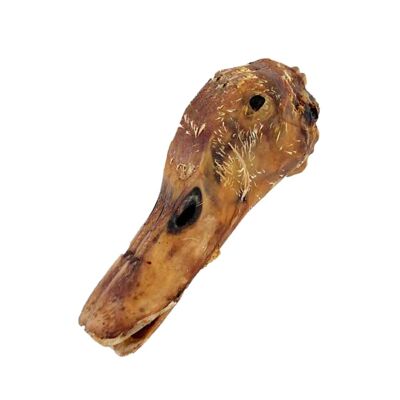 Dehydrated duck head