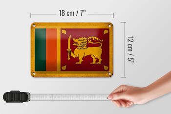 Drapeau en étain du Sri Lanka, 18x12cm, décoration Vintage du Sri Lanka 5