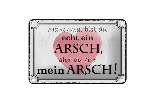 Blechschild Spruch 18x12cm manchmal bist du ein ARSCH aber Dekoration