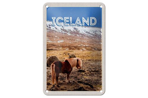 Blechschild Reise 12x18cm Iceland Pony icelandic horse Geschenk Schild