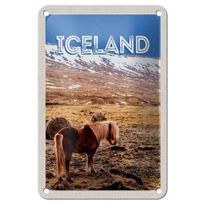 Blechschild Reise 12x18cm Iceland Pony icelandic horse Geschenk Schild