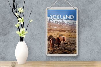 Signe de voyage en étain, 12x18cm, poney islandais, cheval islandais, cadeau 4