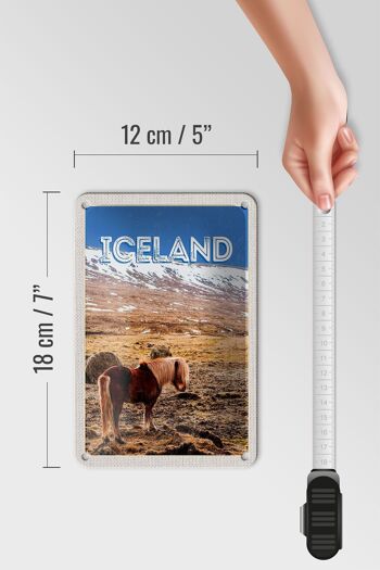 Signe de voyage en étain, 12x18cm, poney islandais, cheval islandais, cadeau 5