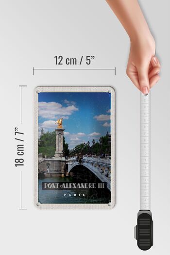 Panneau de voyage en étain, 12x18cm, Pont Alexandre III, panneau touristique de Paris 5