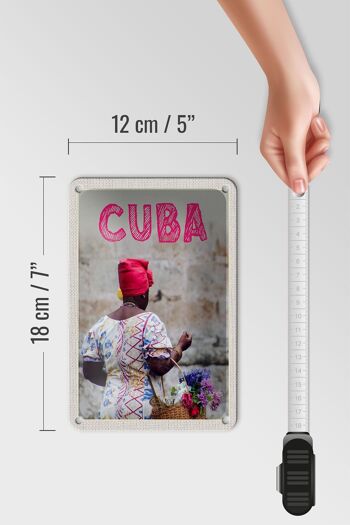 Panneau de voyage en étain 12x18cm, panier de femme des caraïbes de Cuba avec signe de fleurs 5