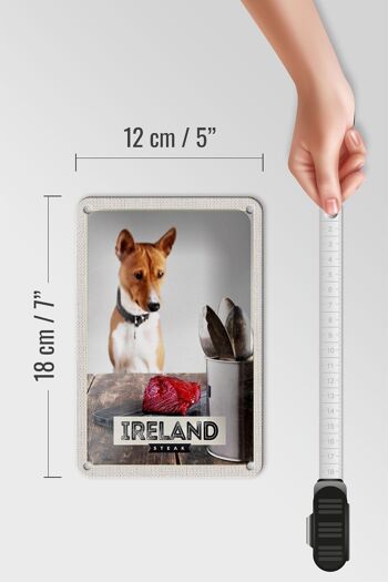 Panneau de voyage en étain 12x18cm, décoration d'île de chien de Steak d'irlande et d'europe 5