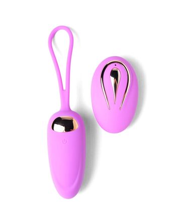 OEUF VIBRATEUR CLIO 2