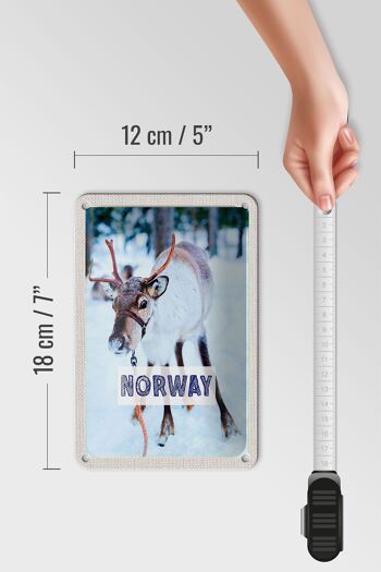 Panneau de voyage en étain, 12x18cm, cerf de norvège, signe de neige, heure d'hiver 5
