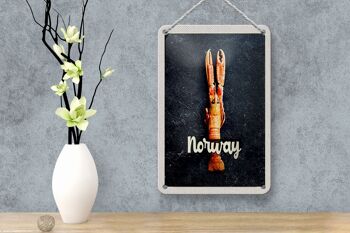 Panneau de voyage en étain 12x18cm, plats de poisson norvégiens, crabes, signe de vacances 4