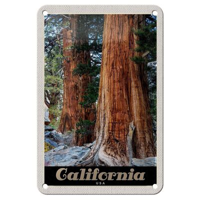 Targa in metallo da viaggio 12x18 cm California America Natura Foresta Alberi Targa