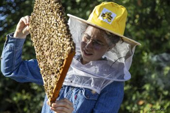 Miel de miellat des forêts bio 2