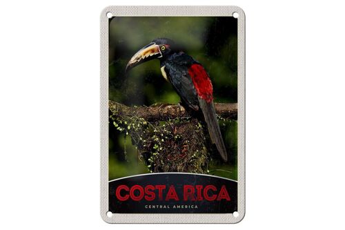 Blechschild Reise 12x18cm Costa Rica Central America Vogel Natur Schild