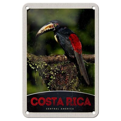 Blechschild Reise 12x18cm Costa Rica Central America Vogel Natur Schild