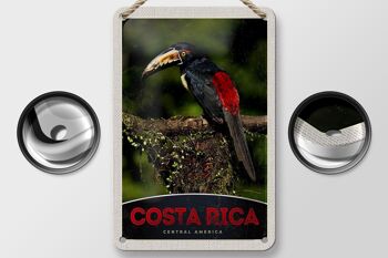 Signe de voyage en étain 12x18cm, signe naturel d'oiseau d'amérique centrale du Costa Rica 2