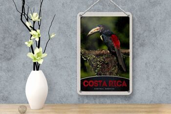 Signe de voyage en étain 12x18cm, signe naturel d'oiseau d'amérique centrale du Costa Rica 4