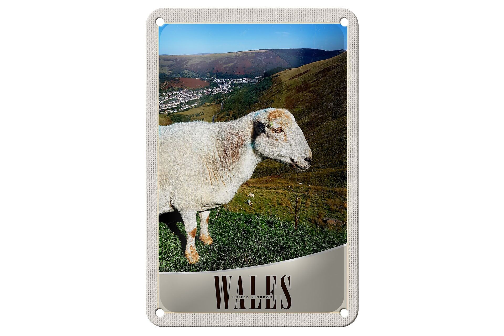 Targa in metallo da viaggio 12x18 cm Galles Regno Unito Sheep Meadow Nature Sign