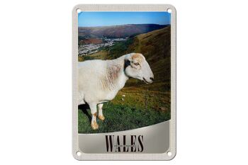 Signe de voyage en étain, 12x18cm, pays de galles, royaume-uni, signe naturel de prairie de mouton 1