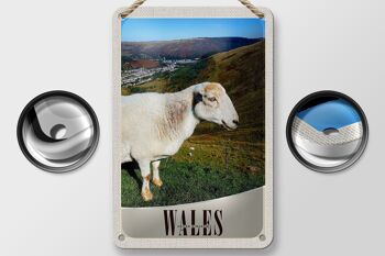 Signe de voyage en étain, 12x18cm, pays de galles, royaume-uni, signe naturel de prairie de mouton 2