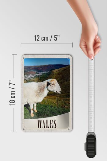 Signe de voyage en étain, 12x18cm, pays de galles, royaume-uni, signe naturel de prairie de mouton 5