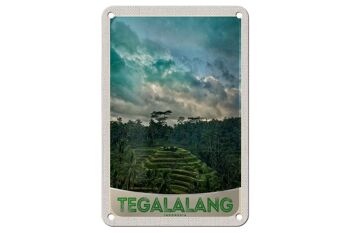 Signe de voyage en étain, 12x18cm, Tegalalang, indonésie, asie, signe des tropiques 1