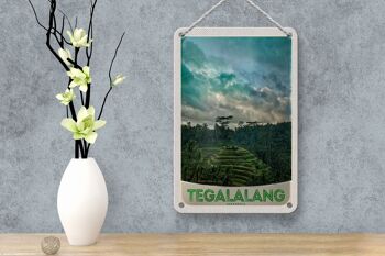 Signe de voyage en étain, 12x18cm, Tegalalang, indonésie, asie, signe des tropiques 4