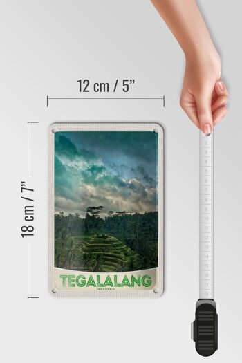 Signe de voyage en étain, 12x18cm, Tegalalang, indonésie, asie, signe des tropiques 5