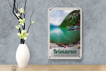 Panneau de voyage en étain, 12x18cm, lac de Brienz, suisse, bateau, montagnes 4