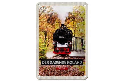Blechschild Reise 12x18cm Rügen der rasende Roland Lokomotive Schild