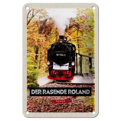 Blechschild Reise 12x18cm Rügen der rasende Roland Lokomotive Schild