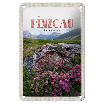 Blechschild Reise 12x18cm Pinzgau Österreich Blumen Natur Berge Schild