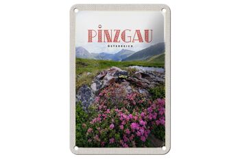 Panneau de voyage en étain, 12x18cm, Pinzgau, autriche, fleurs, Nature, montagnes 1