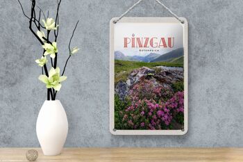 Panneau de voyage en étain, 12x18cm, Pinzgau, autriche, fleurs, Nature, montagnes 4
