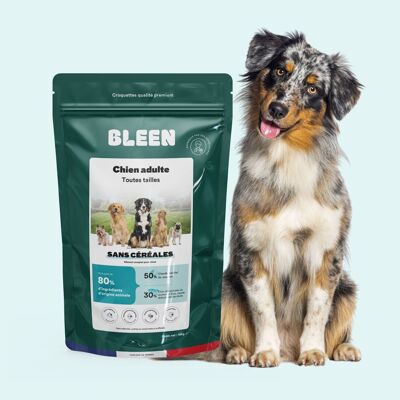 Protein-rich kibble