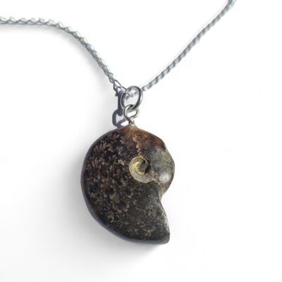 Collana di ammoniti fossili interi lucidati