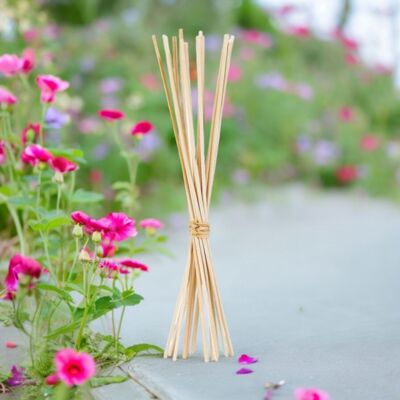 Bouquet profumato per capillarità in bastoncini per diffusore in rattan - Set di 10 bastoncini in fibra naturale per la ricarica del diffusore
