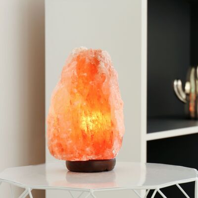 Lámpara de Cristal de Sal del Himalaya - 2 a 3 kg - Material Natural - Idea de Regalo y Decoración