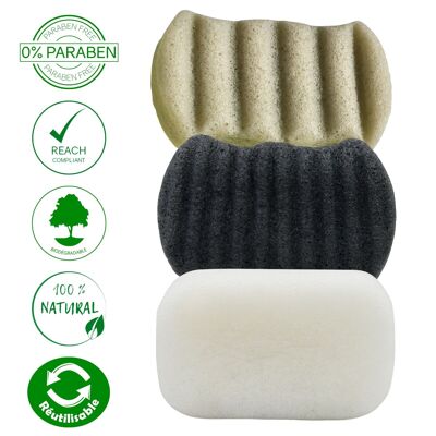 Konjac Sponge 100% Natural Body - In Box | Several Models to Choose from
