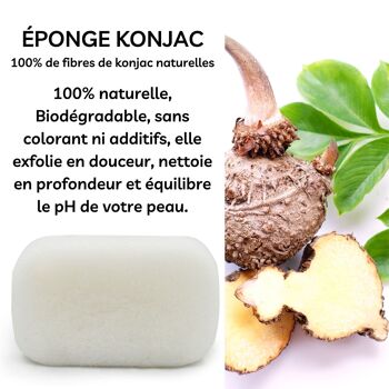 Eponge Konjac 100% Naturelle Corps - En Boite | Plusieurs Modèles au Choix 14