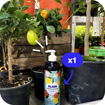 Fertilizante para plantas de interior (ideal para cítricos)