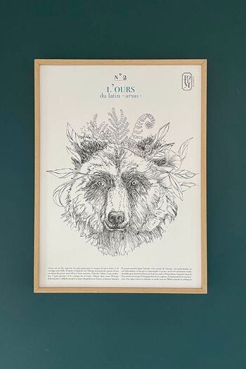 LES AFFICHES série du printemps : L’OURS 4