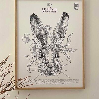 POSTERS spring series: THE HARE